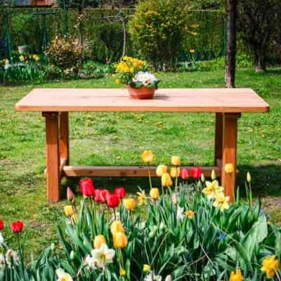 Table Bâthiolaine