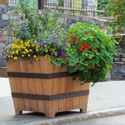 Jardinière en V
