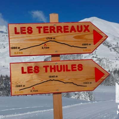 panneau directionnel en bois pour signalétique