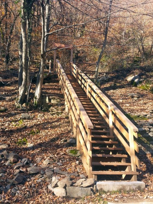 escalier extérieur bois mélèze rambarde